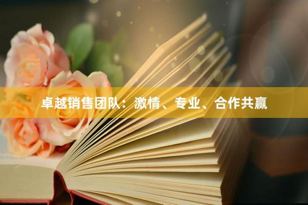 卓越销售团队：激情、专业、合作共赢